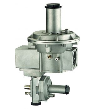 Elektogas FGS3-2 Gas Filter